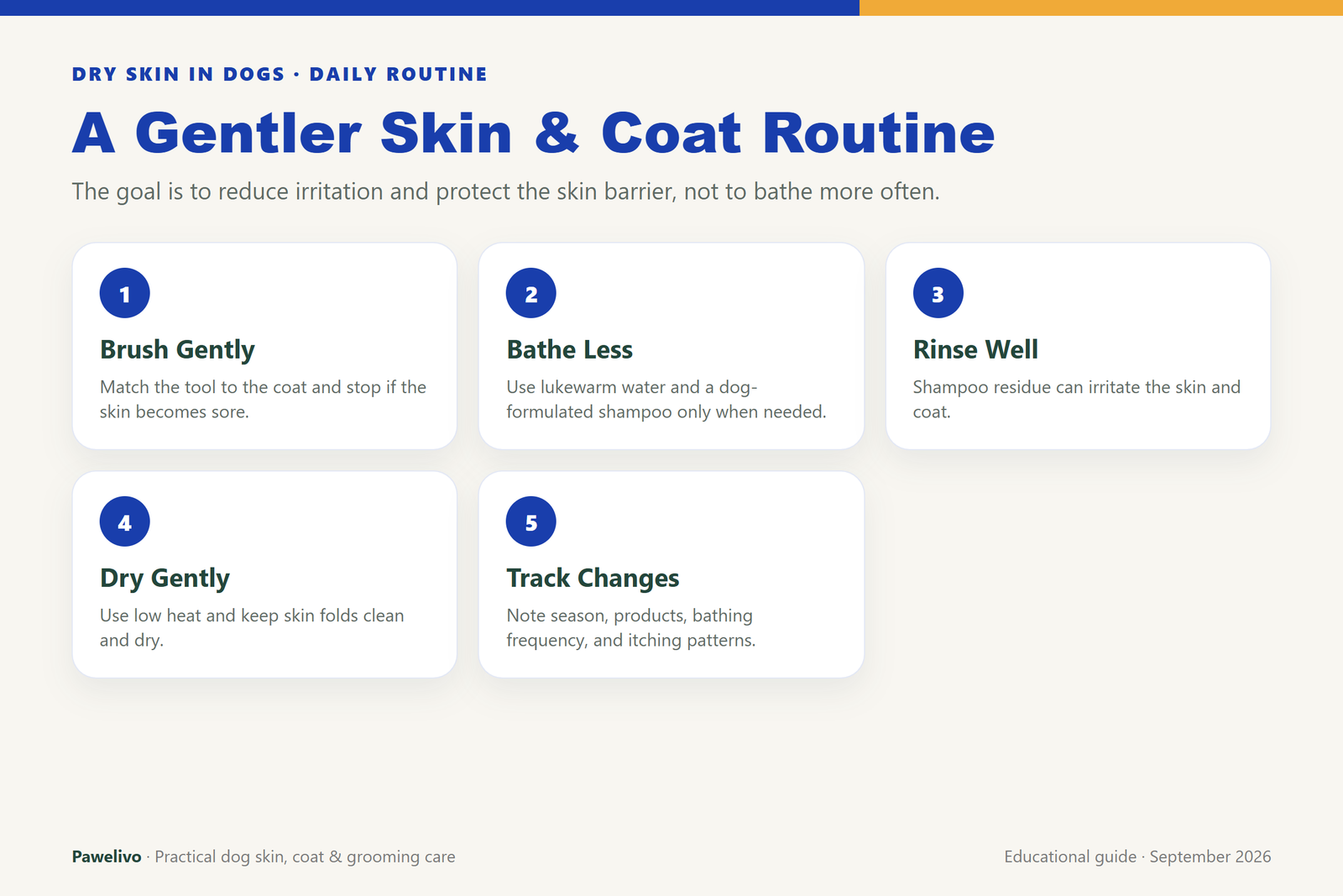 Five-step gentle routine for dogs with dry skin: brush gently, bathe less, rinse well, dry gently, and track changes