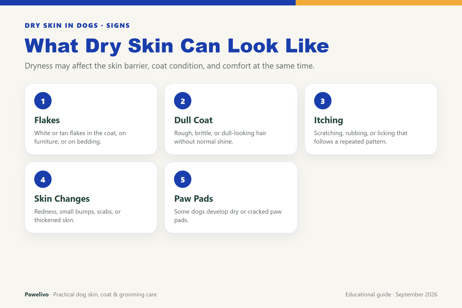 Infographic showing flakes, dull coat, itching, skin changes, and dry paw pads as signs of dry skin in dogs