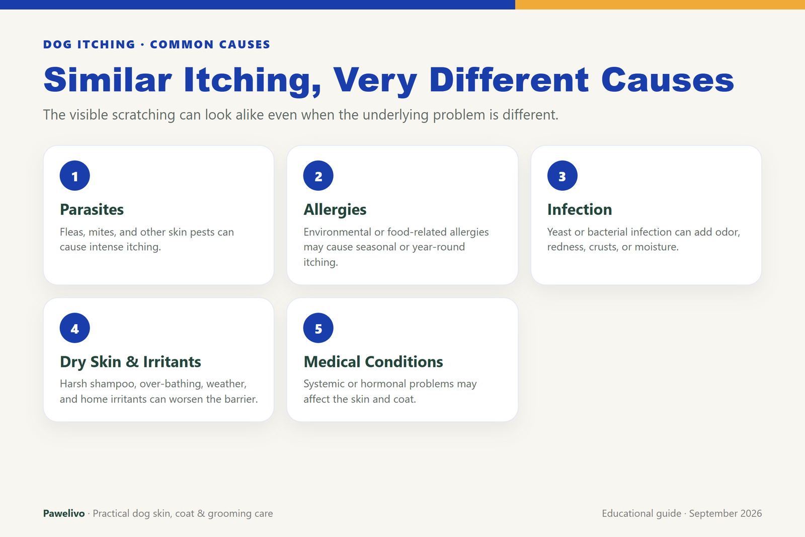 Infographic showing parasites, allergies, infection, dry skin and irritants, and medical conditions as common causes of itching in dogs
