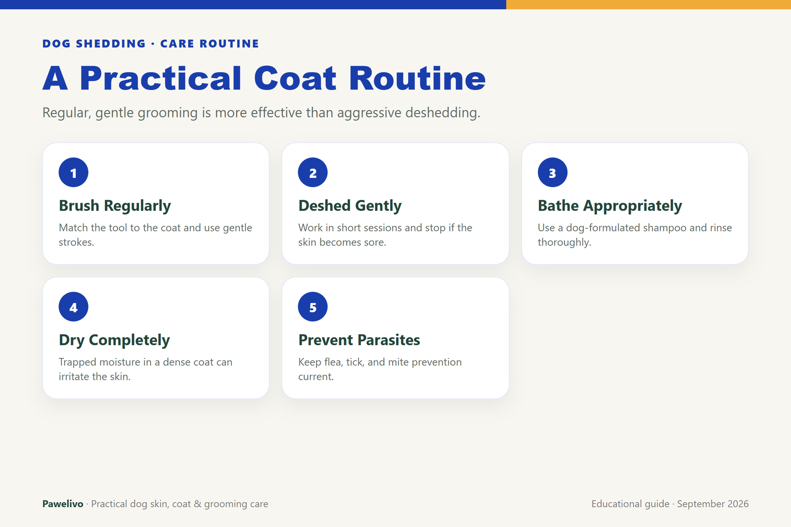 Five-step coat routine for shedding dogs: brush regularly, deshed gently, bathe appropriately, dry completely, and prevent parasites