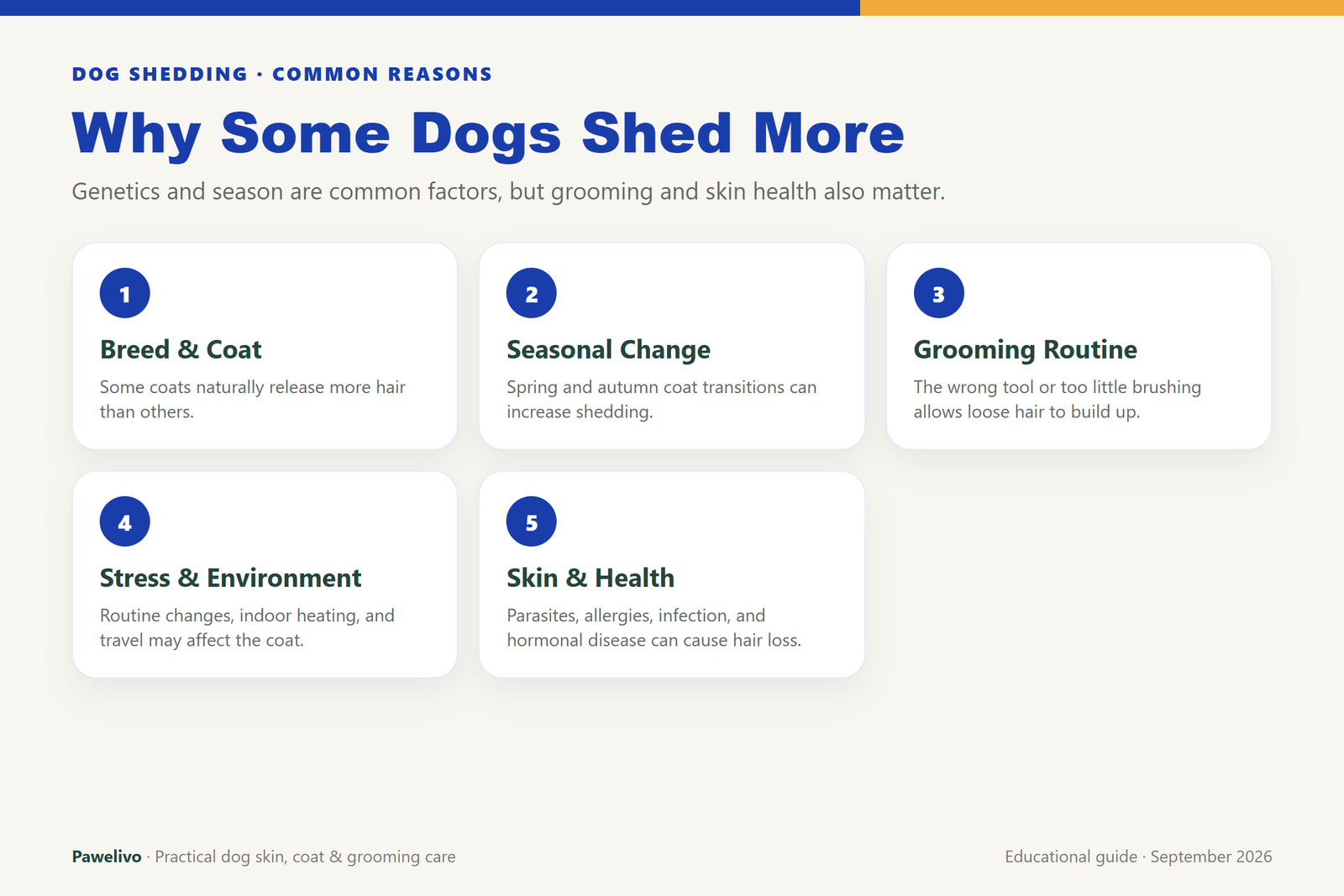 Infographic showing breed and coat type, seasonal change, grooming routine, stress and environment, and skin health as reasons dogs shed heavily