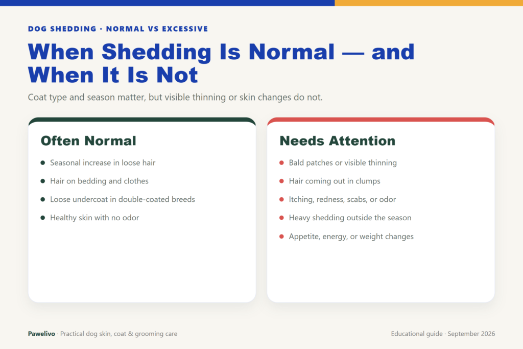 Comparison graphic showing normal shedding patterns and signs of excessive shedding that need veterinary attention